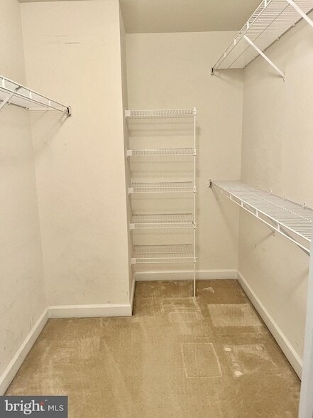 Building Photo - 6003 Popes Creek Pl