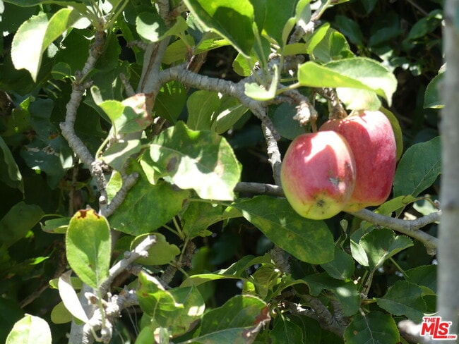 Building Photo - 3101 Cardiff Ave