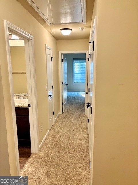 Building Photo - 193 Camellia Ct