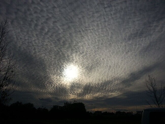 Building Photo - Vero Beach Rentals. Vero Beach Homes For Rent. Vero Beach Rent, LLC and Property Management Company