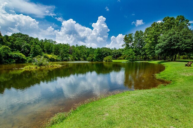 Building Photo - 807 Coldwater Creek Cir