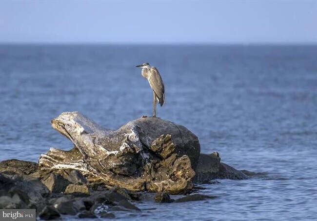 Building Photo - 247 Fountain St