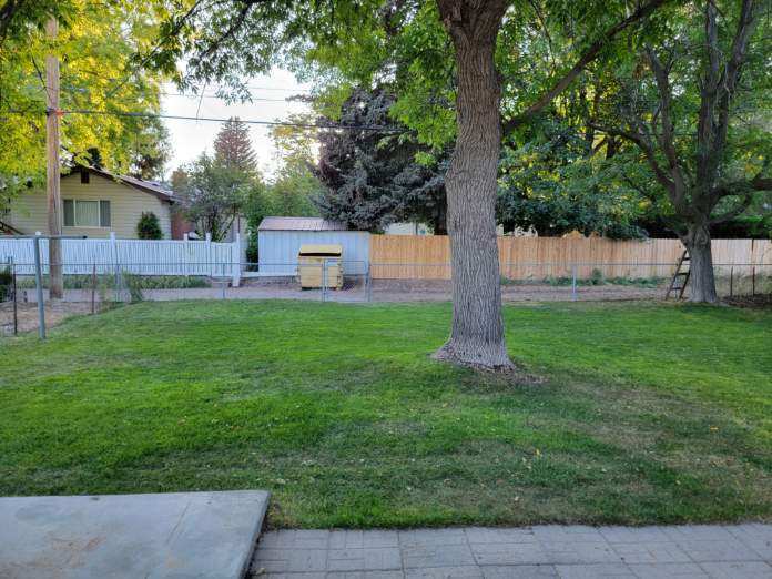 Backyard - 779 Reed Avenue