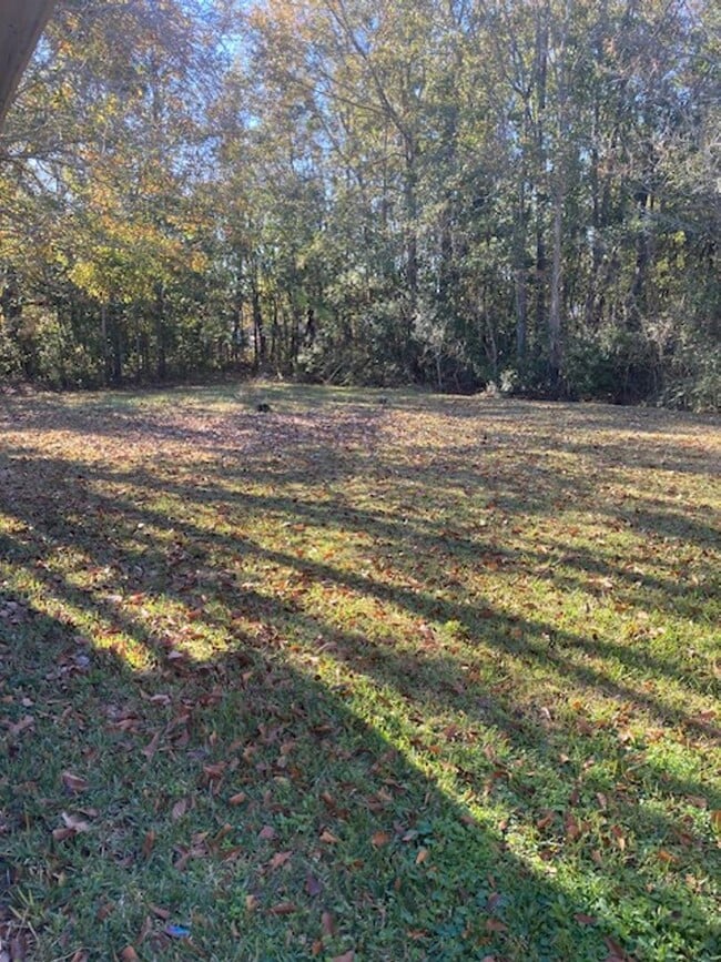 Building Photo - Long Beach 2 Bedroom