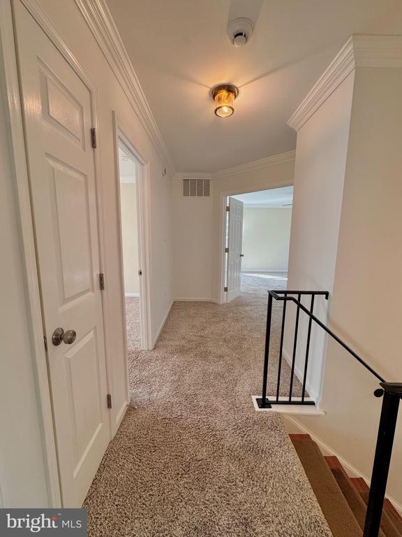 Building Photo - 12102 Snow Shoe Ct
