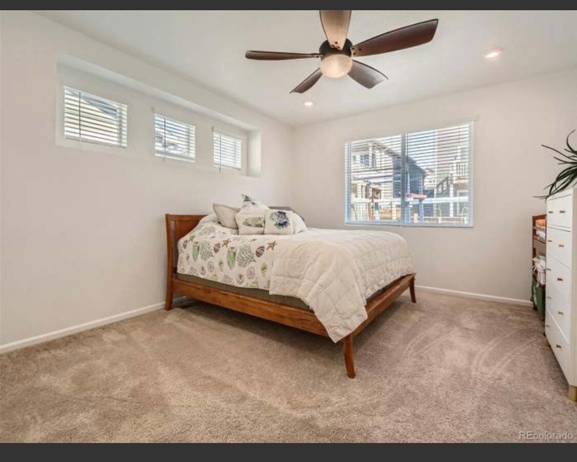 Nice lighting plenty windows all new - 9260 Rifle St