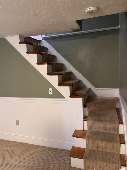 stairs to basement - 22 Douglas Rd
