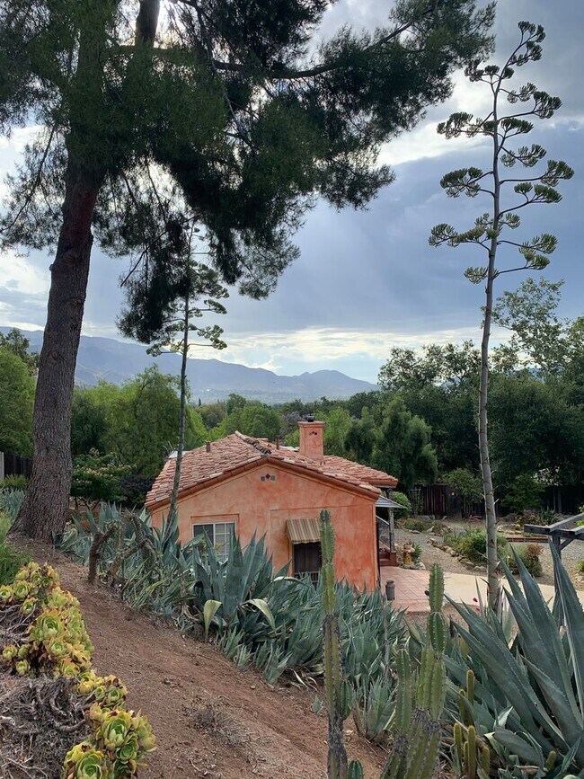 Building Photo - best of both worlds