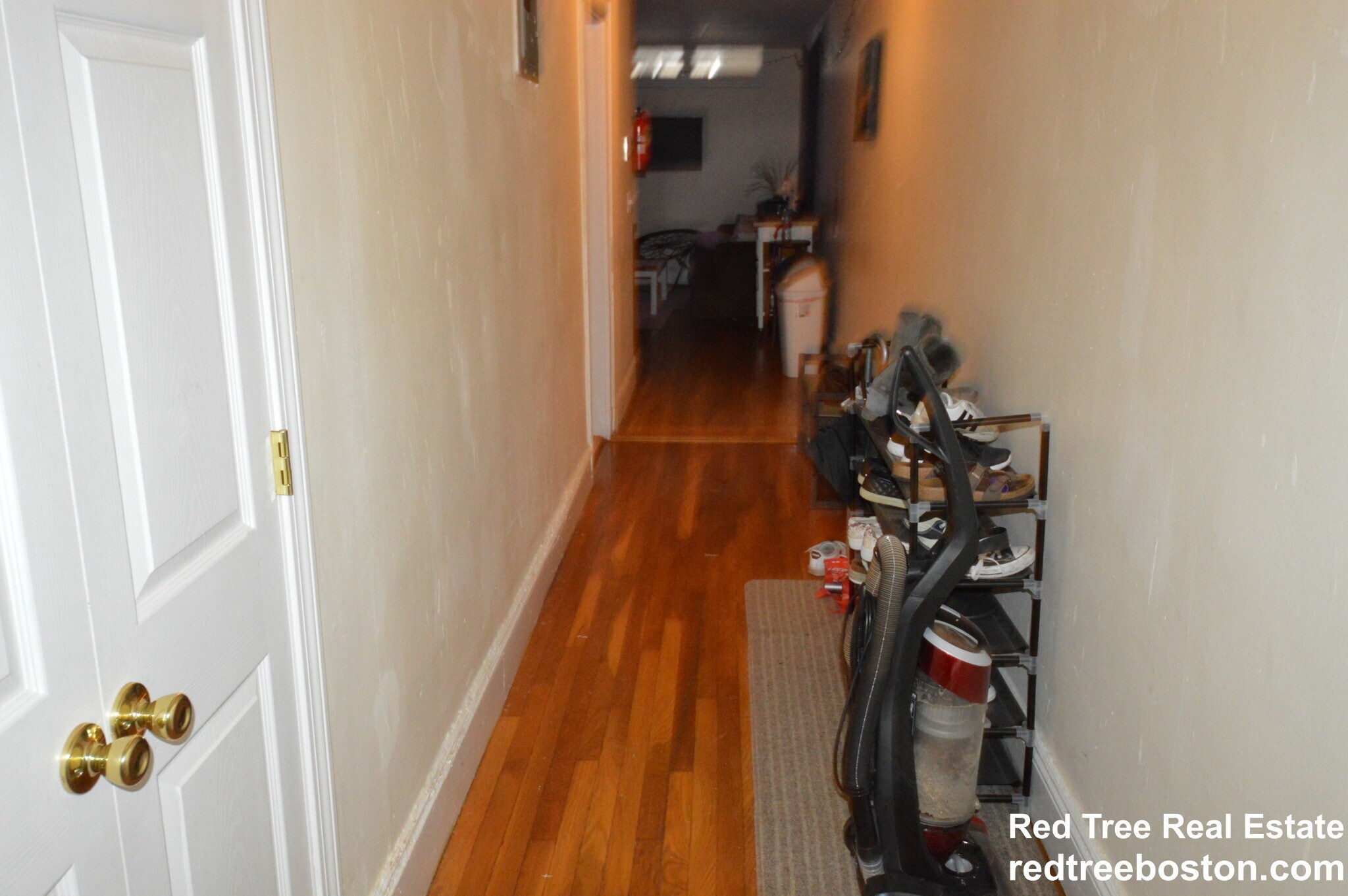 Building Photo - 62 Egmont St