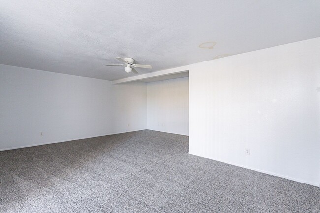 Building Photo - NEW CARPET!
