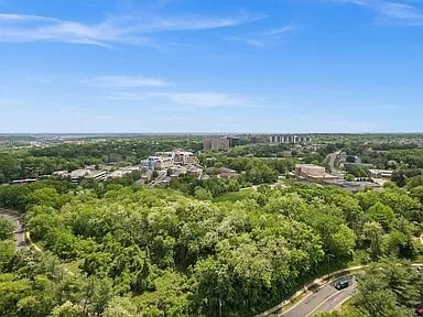 Views from unit - 3705 S George Mason Dr