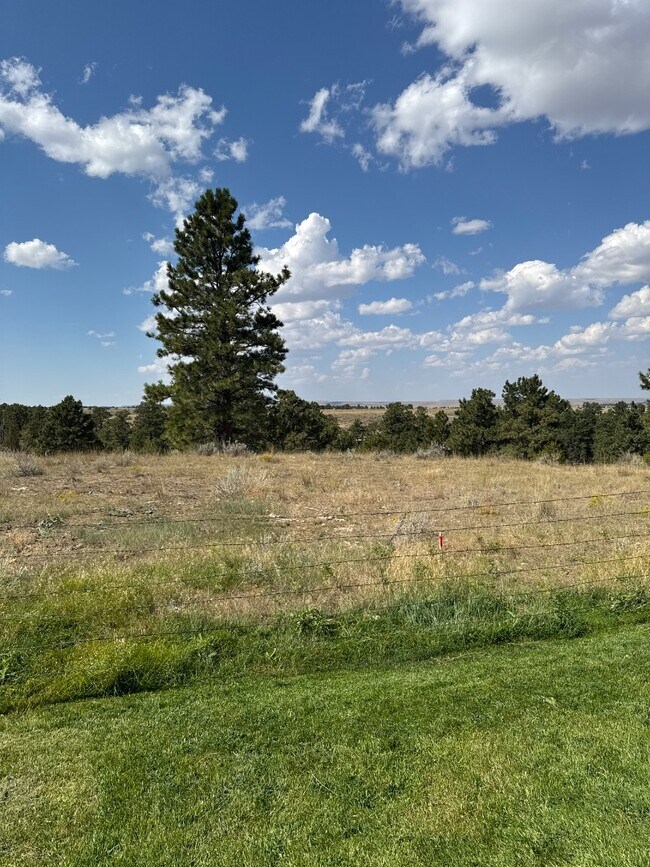 Building Photo - 4190 Blackpool Trail