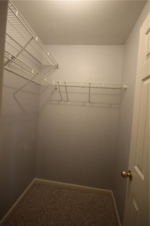 Building Photo - 1581 Oak Park Cove