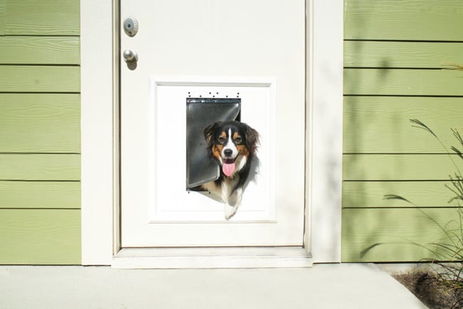 Building Photo - College Town @ Coastal