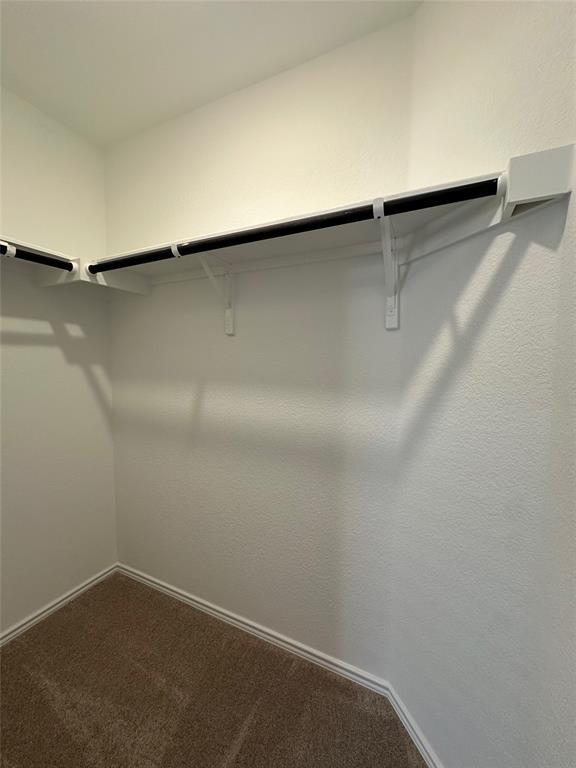 Building Photo - 2513 Four Waters Lp