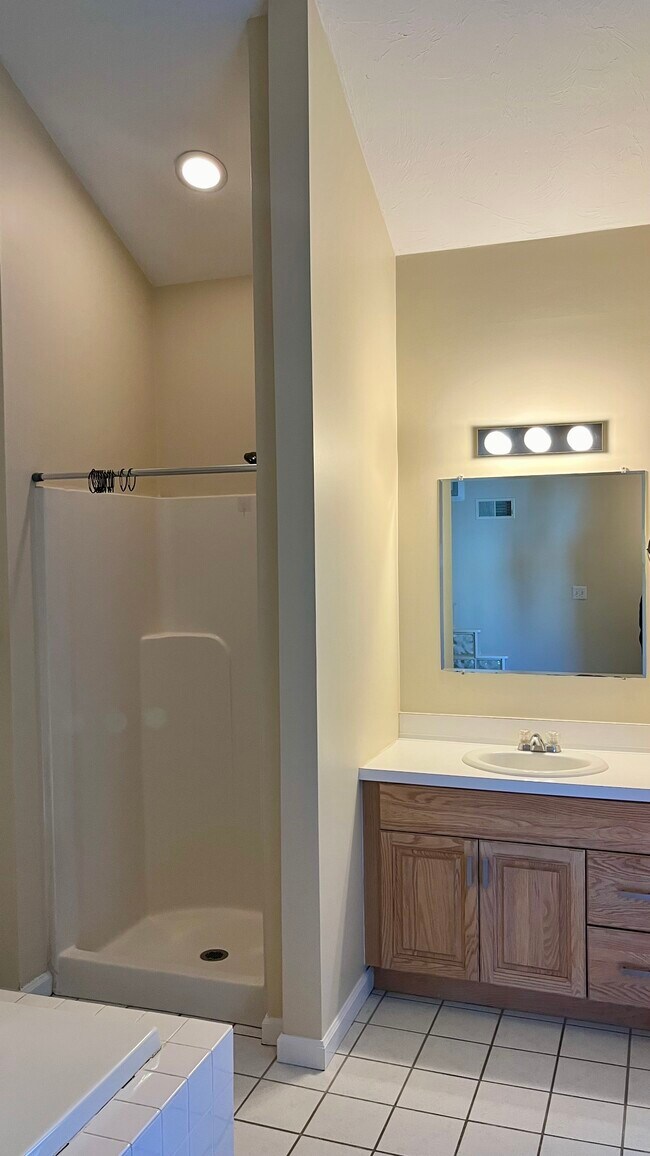 Master bathroom shower - 237 Captain Eames Cir