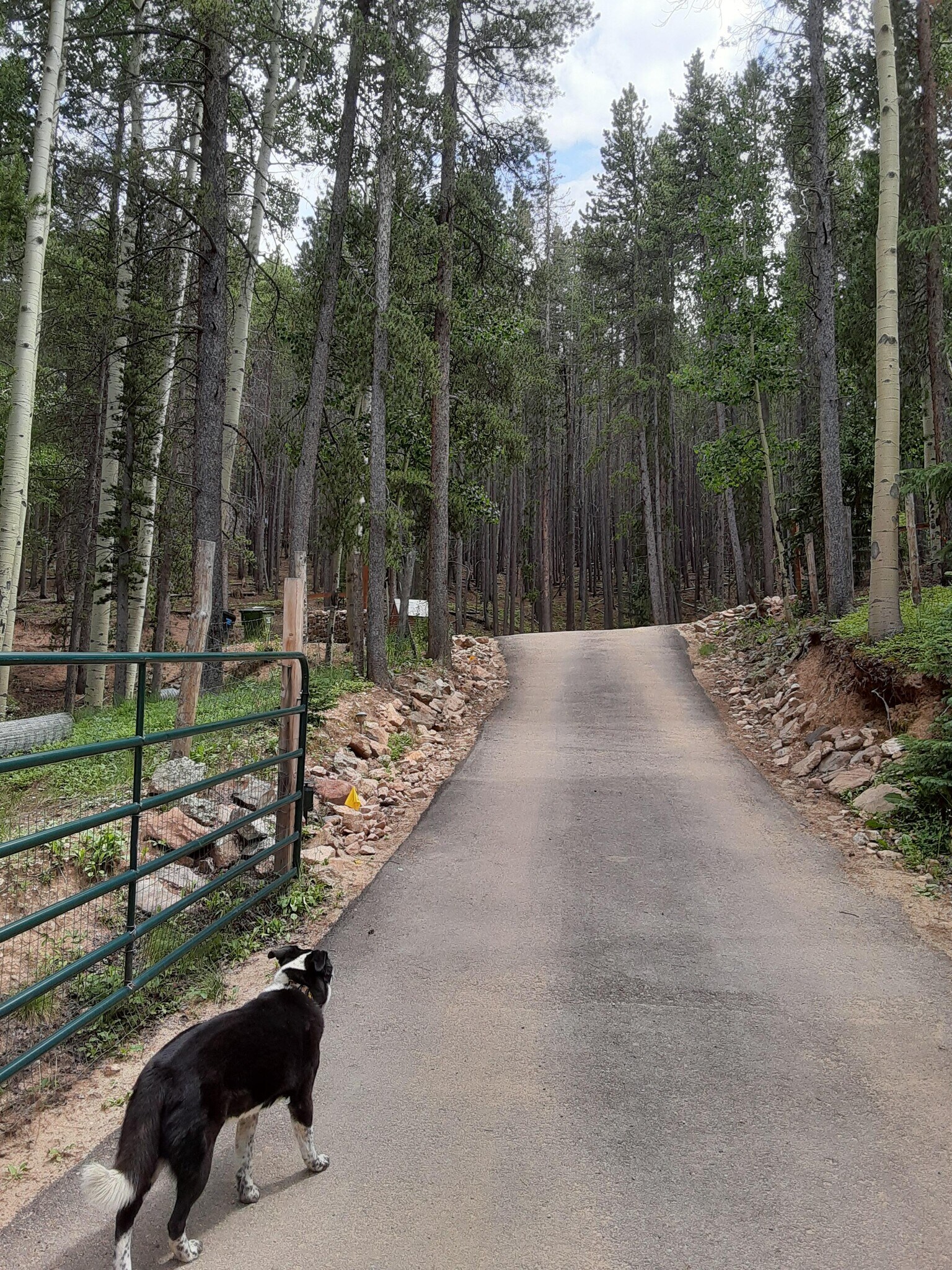 Steep driveway - 97 Pawnee Trl