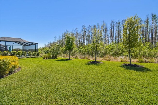 Building Photo - 29488 Ginnetto Dr