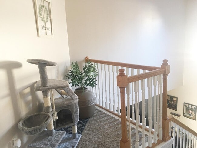 Building Photo - 616 Fountain Brook Ln