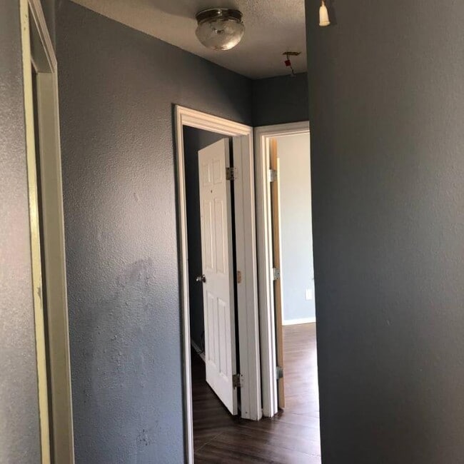 Building Photo - 313 San Salvador Ave