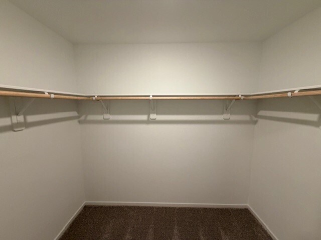 Building Photo - 31416 Casacalenda Ln