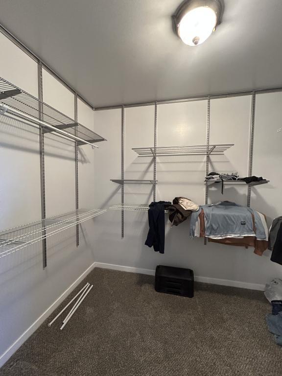 Building Photo - 3532 Rio Bravo Dr