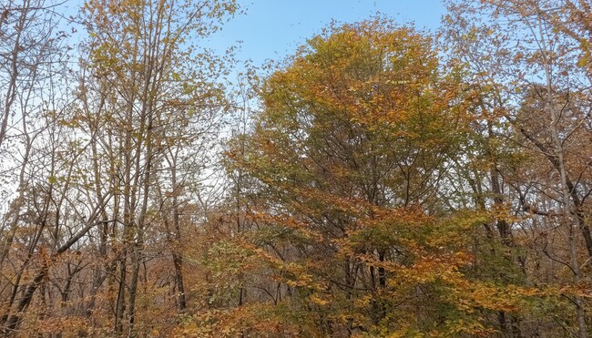 Building Photo - 103 K D Ln