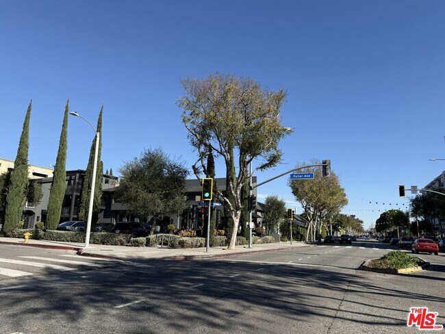 Building Photo - 1333 N Fuller Ave