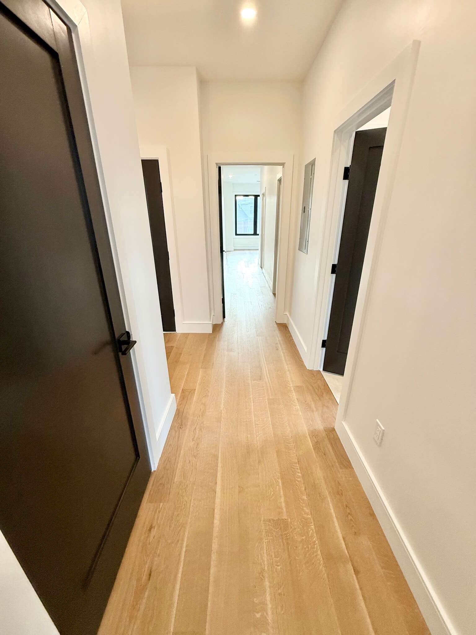 Building Photo - 238 Webster St