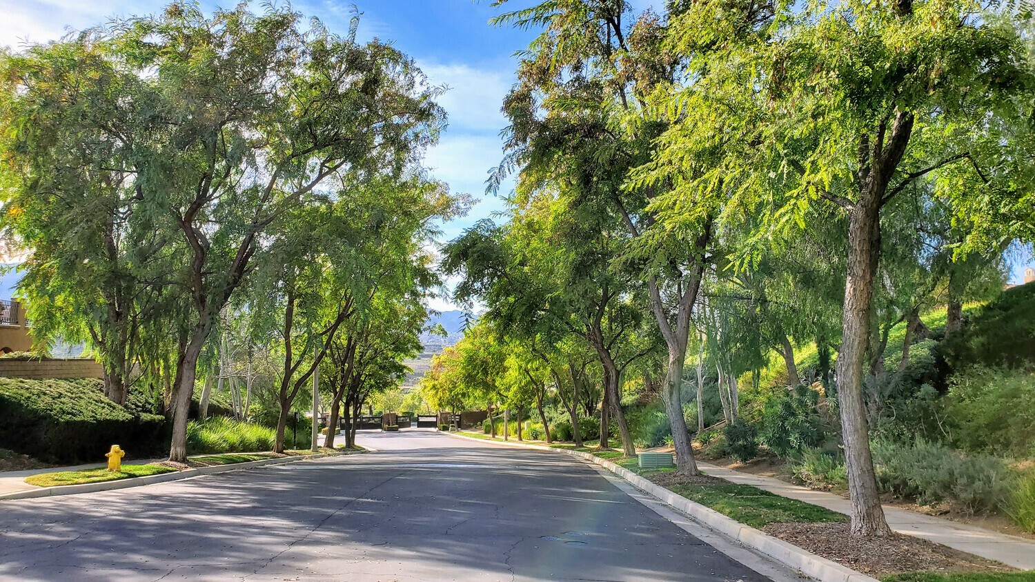 Road to Pronio Gate - 4317 Palazzo Ln