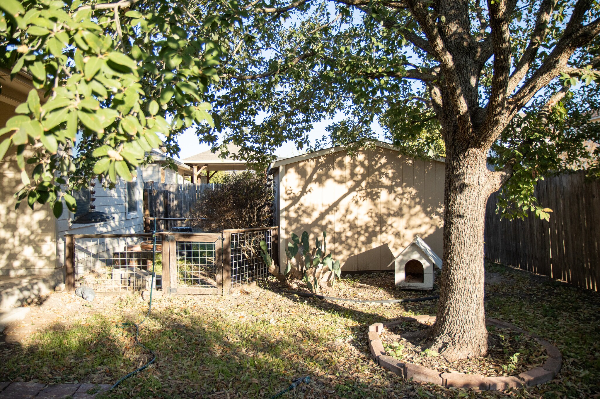 Backyard - 2808 Granite Cove