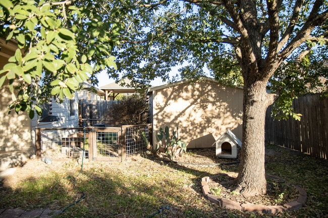 Backyard - 2808 Granite Cove