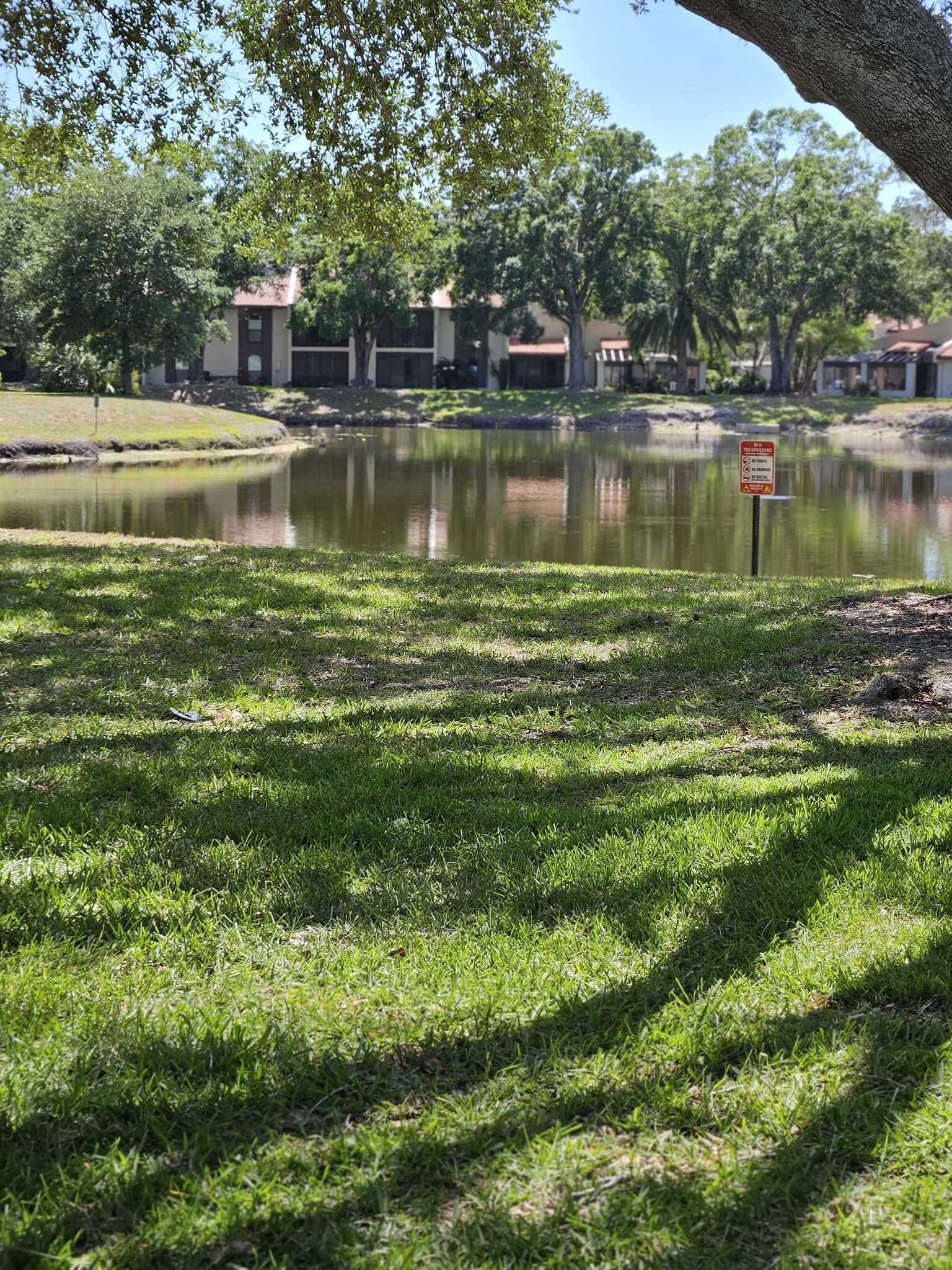 Building Photo - 3505 Tarpon Woods Blvd
