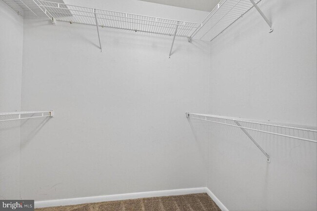 Building Photo - 119 Commonwealth Ct