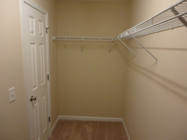 Building Photo - 3955 Patriot Ridge Court