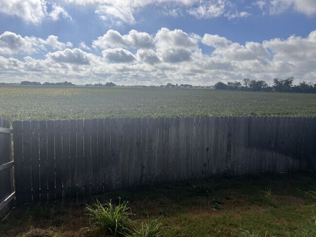 Building Photo - Luxury Duplex in Seguin!