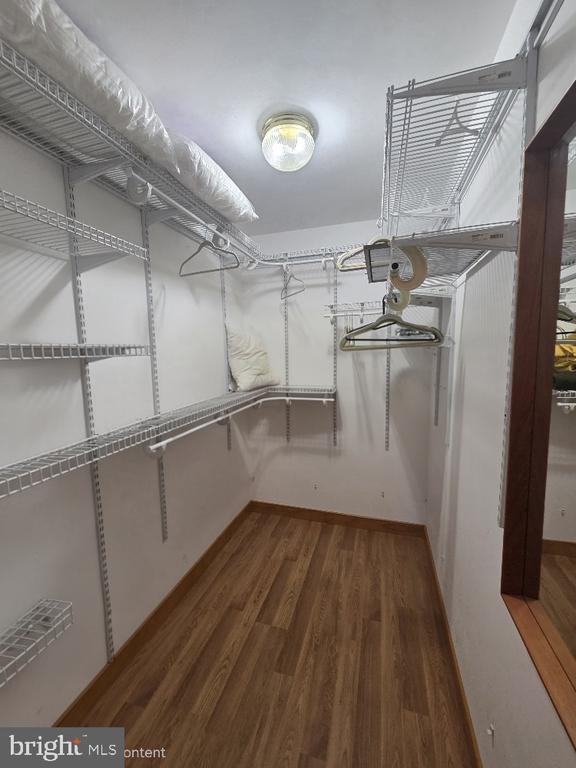 Building Photo - 6209 Stubbs Cove Ln