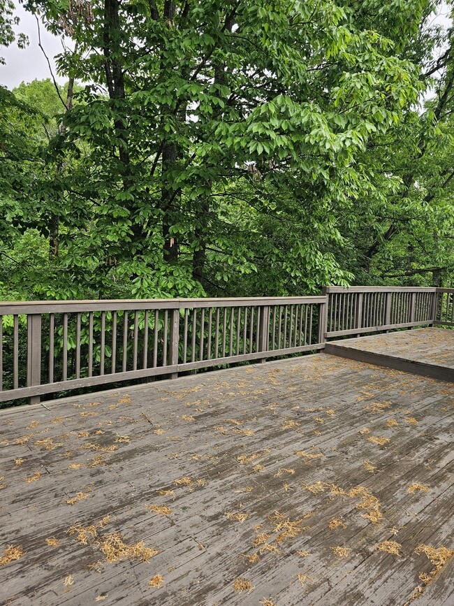 Building Photo - 163 Country Park Dr