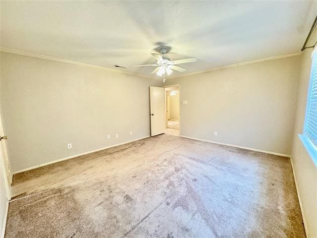 Building Photo - 419 Shady Brook Dr