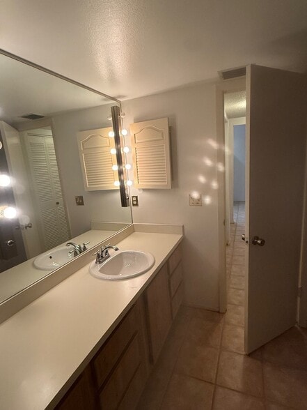 Bathroom Sink - 4207 Winding Moss Trl