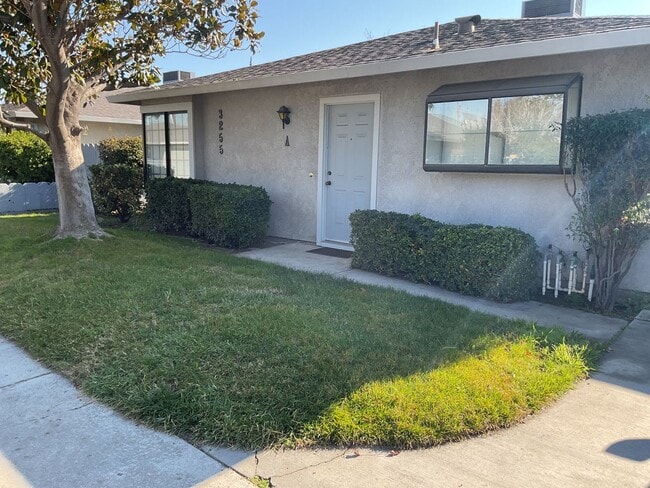 Building Photo - Look no more