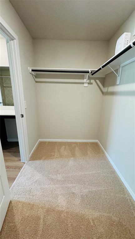 Building Photo - 10495 Cloud Nine Ct