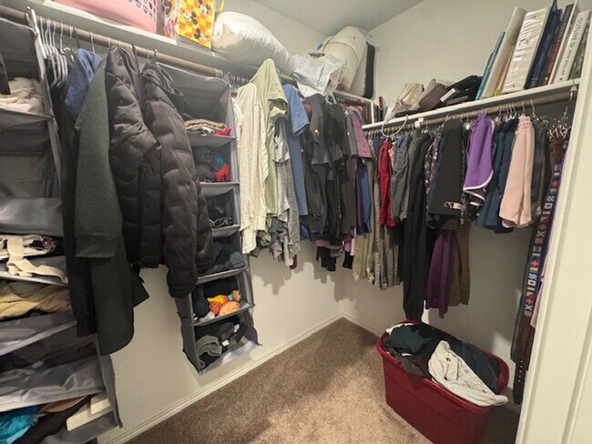 Building Photo - Super Nice with Great Price.  3 Bedroom 2 Bath 1 Story