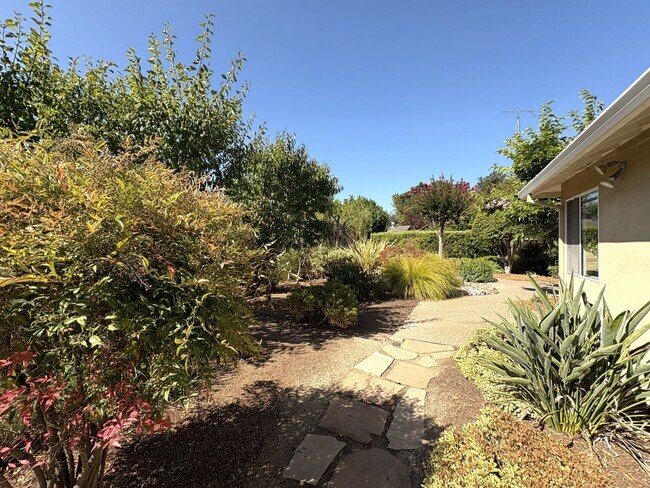 Building Photo - Modern Oasis in the Heart of Los Altos – U...