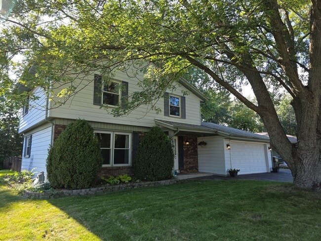 Primary Photo - Mt Pleasant 4 bedroom