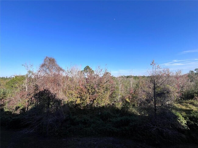 Building Photo - 3175 Feltrim Pl