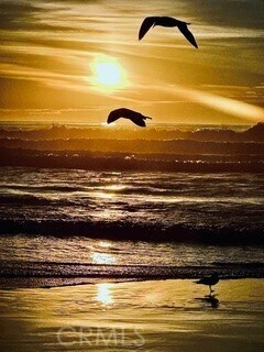 Building Photo - 4216 Ocean Dr