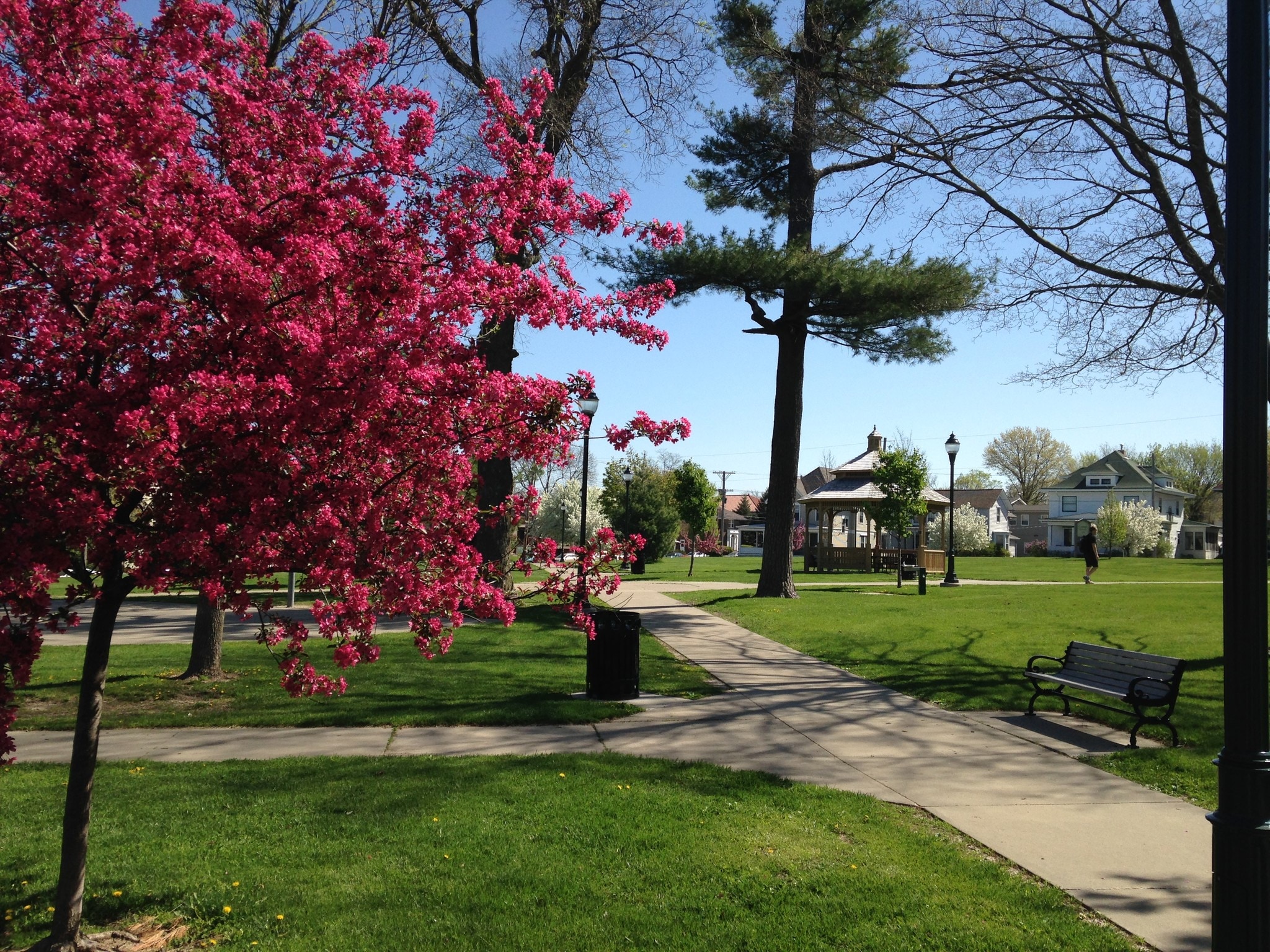 College Green in May - 109 S Johnson St