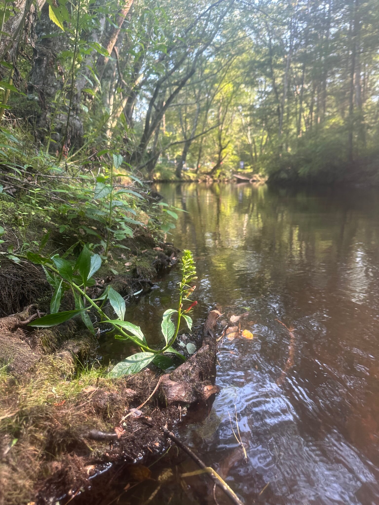 Find lakes, rivers, or the ocean to fish - 851 9th St