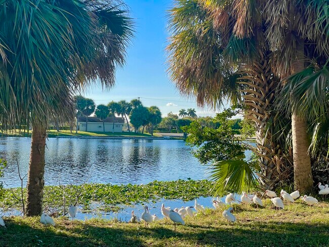 Building Photo - 3240 Lake Osborne Dr